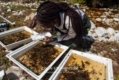 Environmental Photographer Africa