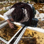 Environmental Photographer Africa