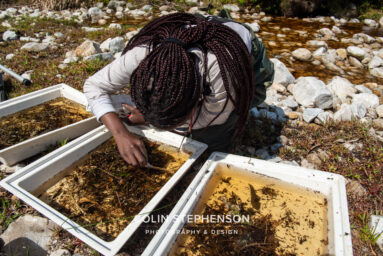 Environmental Photographer Africa