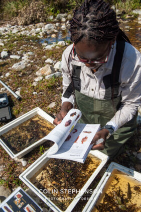 Environmental Photographer Africa