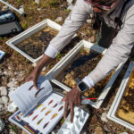 Environmental Photographer Africa