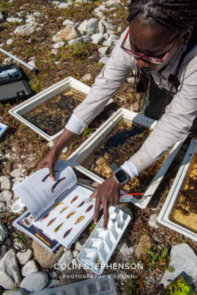 Environmental Photographer Africa