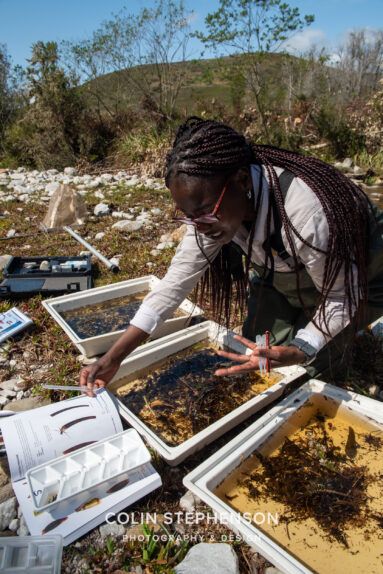 Environmental Photographer Africa