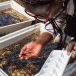 Environmental Photographer Africa