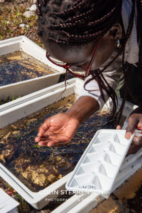 Environmental Photographer Africa