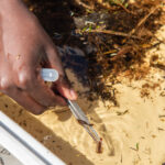 Environmental Photographer Africa