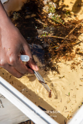Environmental Photographer Africa