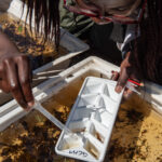 Environmental Photographer Africa