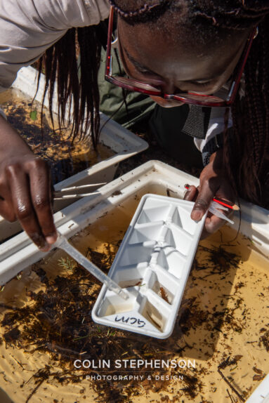 Environmental Photographer Africa