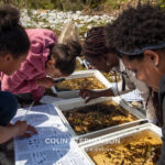 Environmental Photographer Africa