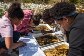 Environmental Photographer Africa