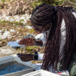 Environmental Photographer Africa