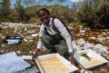 Environmental Photographer Africa