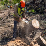 Environmental Photographer Africa: Telling the Story of Our Planet's Future