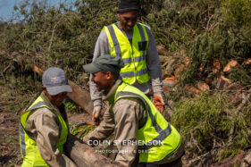Environmental Photographer Africa: Telling the Story of Our Planet's Future