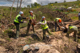 Environmental Photographer Africa: Telling the Story of Our Planet's Future