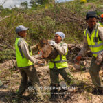Environmental Photographer Africa: Telling the Story of Our Planet's Future