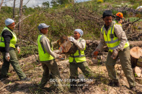Environmental Photographer Africa: Telling the Story of Our Planet's Future