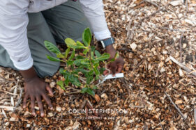 Environmental Photographer Africa: Telling the Story of Our Planet's Future