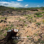 Environmental Photographer Africa: Telling the Story of Our Planet's Future