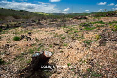 Environmental Photographer Africa: Telling the Story of Our Planet's Future