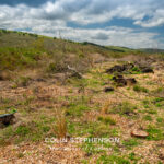 Environmental Photographer Africa: Telling the Story of Our Planet's Future