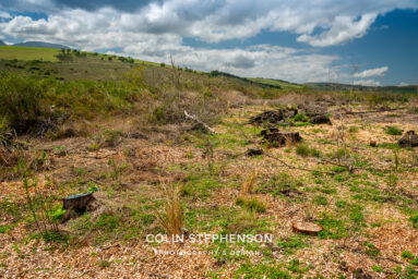Environmental Photographer Africa: Telling the Story of Our Planet's Future