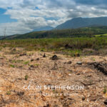 Environmental Photographer Africa: Telling the Story of Our Planet's Future