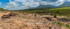 Environmental Photographer Africa: Telling the Story of Our Planet's Future