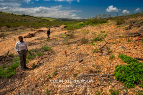 Environmental Photographer Africa: Telling the Story of Our Planet's Future