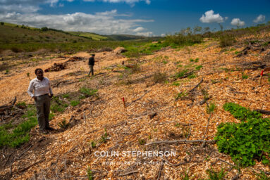 Environmental Photographer Africa: Telling the Story of Our Planet's Future