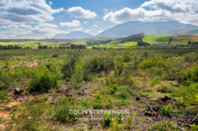 Environmental Photographer Africa: Telling the Story of Our Planet's Future