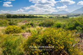 Environmental Photographer Africa: Telling the Story of Our Planet's Future