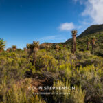 Environmental Photographer South Africa