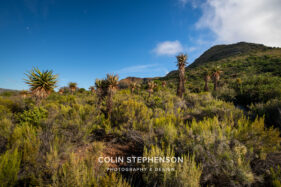 Environmental Photographer South Africa