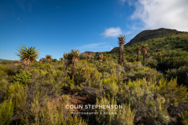 Environmental Photographer South Africa