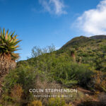 Environmental Photographer South Africa