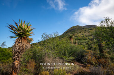Environmental Photographer South Africa