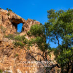 Environmental Photographer South Africa