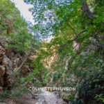 Environmental Photographer South Africa
