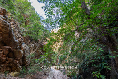 Environmental Photographer South Africa