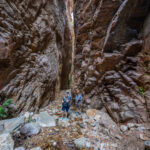 Environmental Photographer South Africa