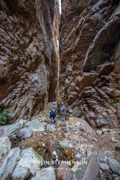 Environmental Photographer South Africa