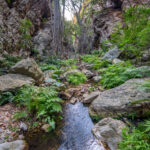 Environmental Photographer South Africa
