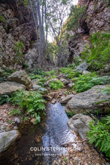 Environmental Photographer South Africa