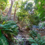 Environmental Photographer South Africa