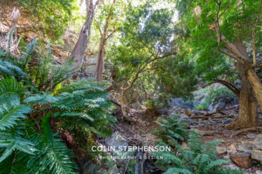 Environmental Photographer South Africa