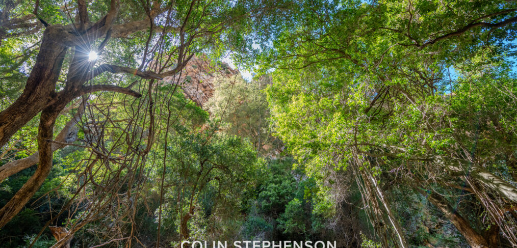 Environmental Photographer South Africa