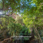 Environmental Photographer South Africa