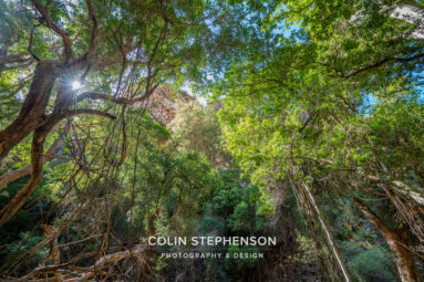 Environmental Photographer South Africa